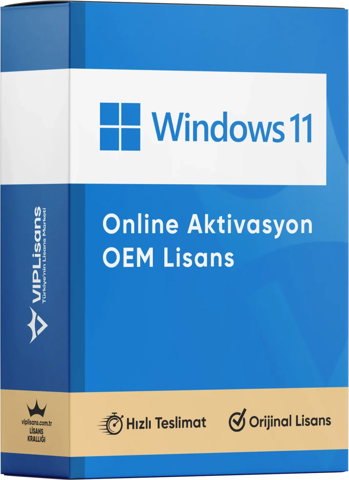 Windows 11 Pro (OEM)