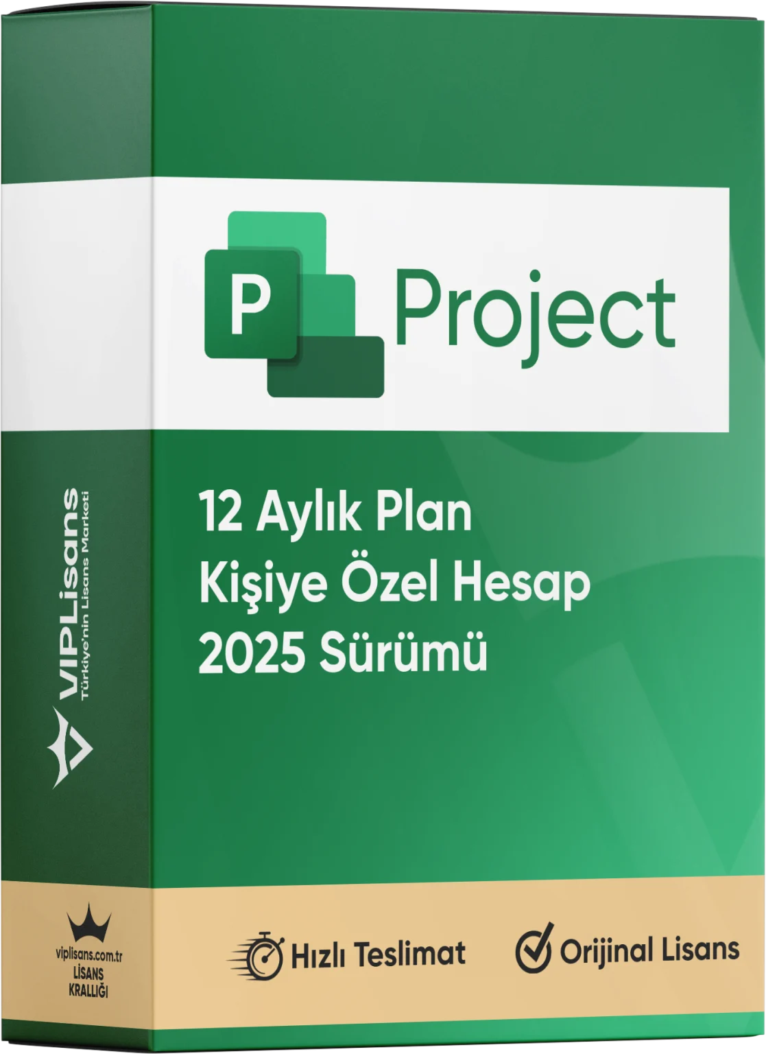 Microsoft Project 2021