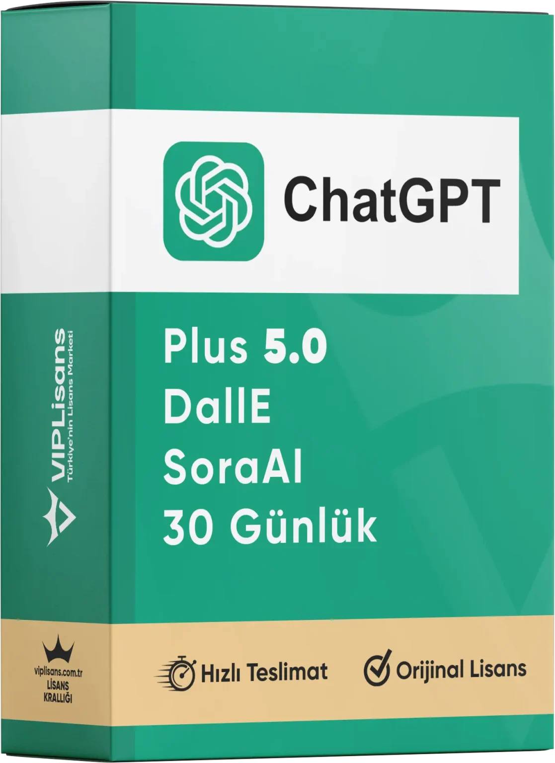 ChatGPT Plus – 30 Günlük (OpenAI)
