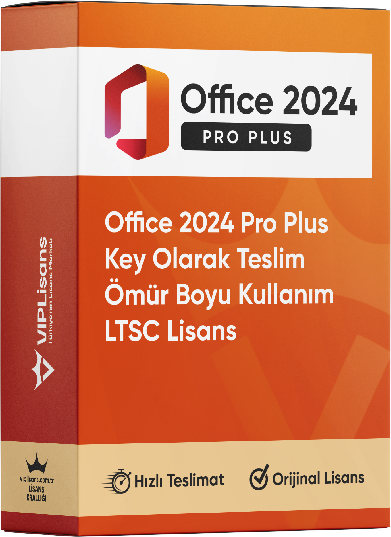 Office 2024 Pro Plus