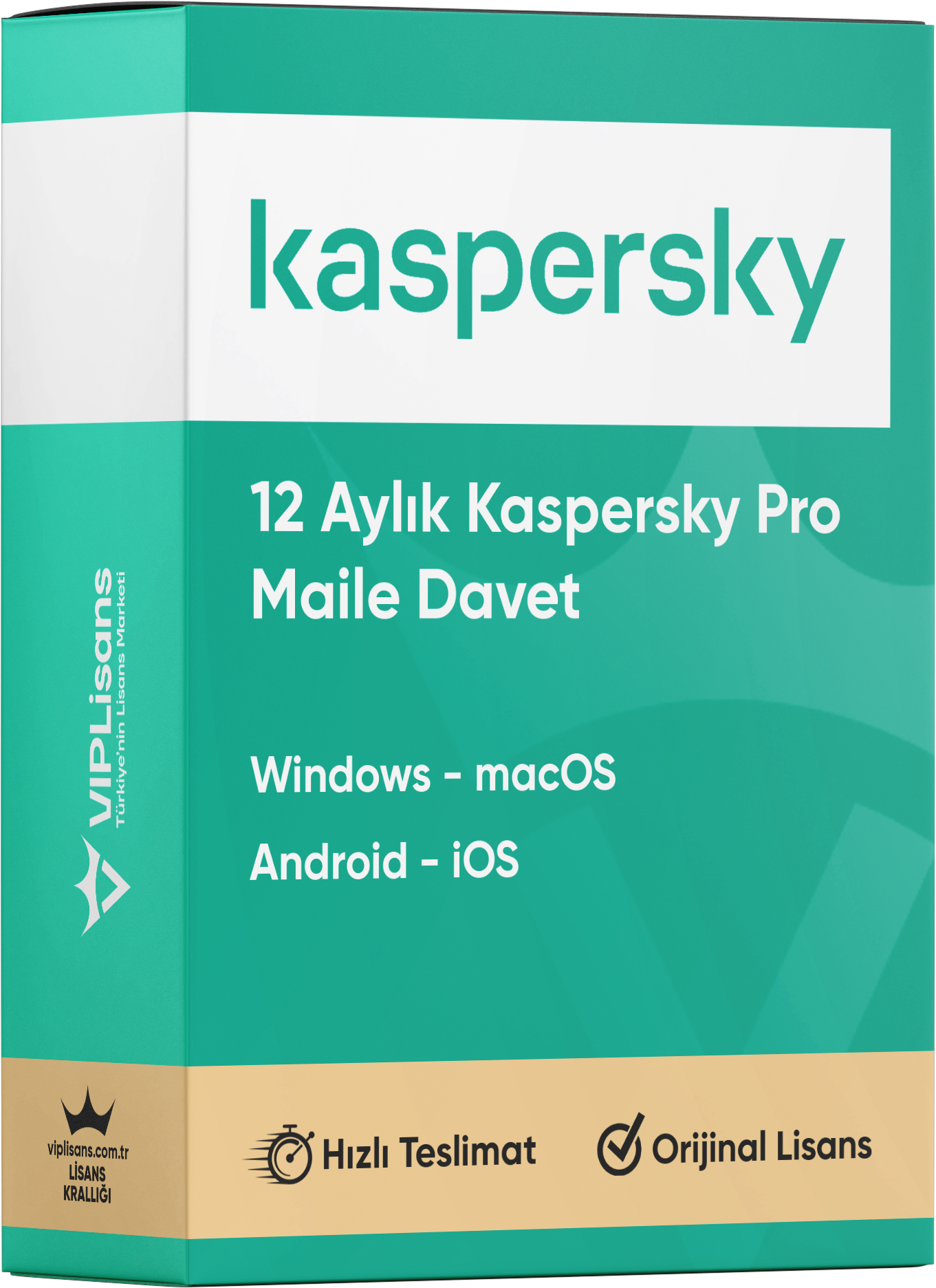 Kaspersky Premium – 12 Aylık