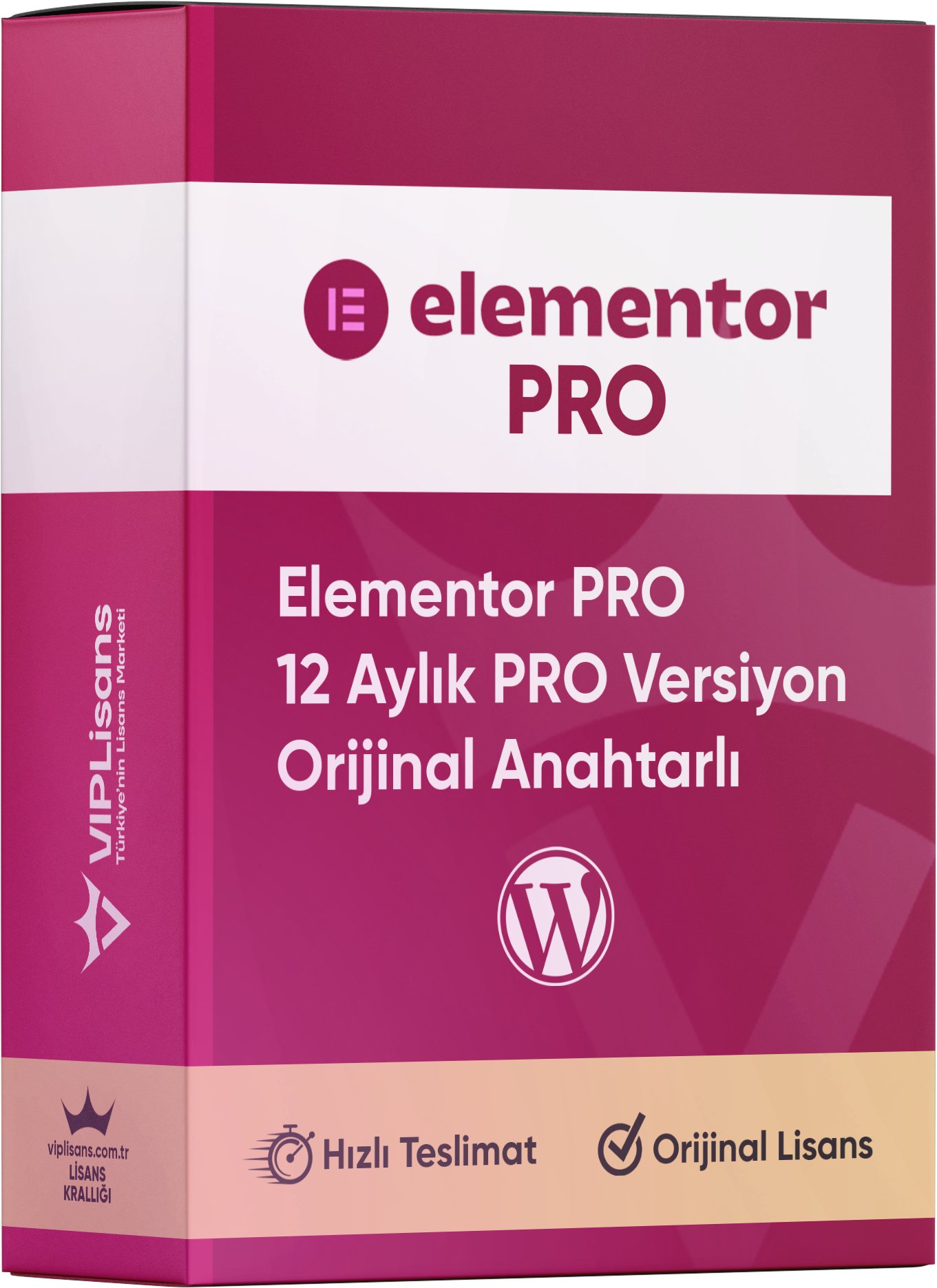 Elementor PRO - 12 Aylık